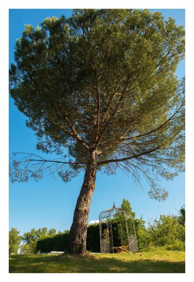 Chambre Soignee Et Accueillante A La Campagne - Ch Bleue L'Honor-de-Cos 外观 照片